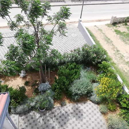Apartment Villa Franci Pag Town Dış mekan fotoğraf